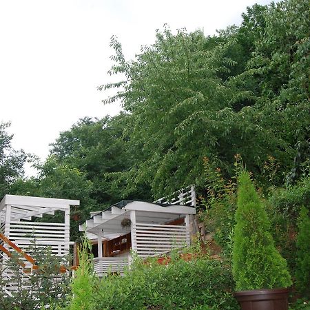 Studio Apartmani Pergolo Centar Soko Banja Luaran gambar