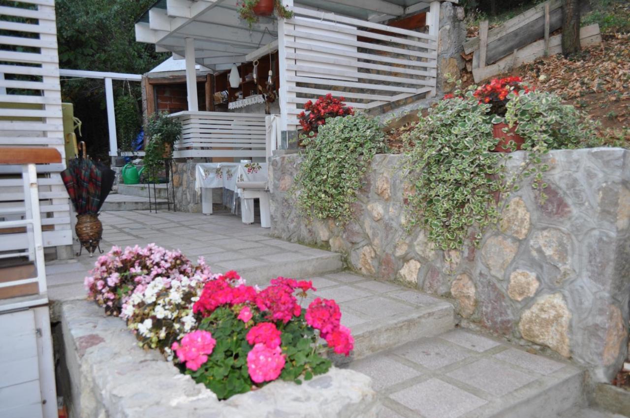 Studio Apartmani Pergolo Centar Soko Banja Luaran gambar